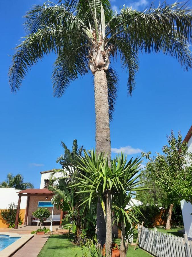 Chalet La Huerta Con Piscina Y Wifi コニル・デ・ラ・フロンテラ エクステリア 写真