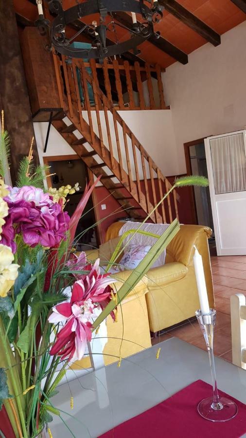 Chalet La Huerta Con Piscina Y Wifi コニル・デ・ラ・フロンテラ エクステリア 写真