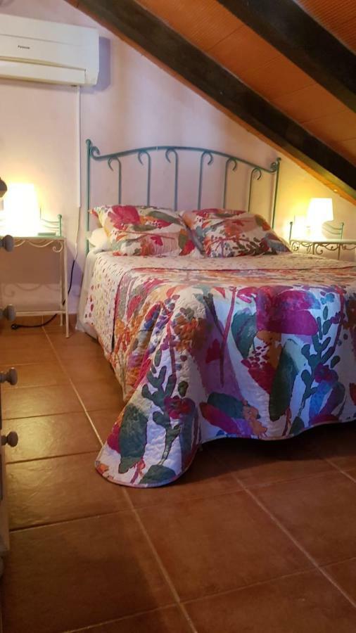 Chalet La Huerta Con Piscina Y Wifi コニル・デ・ラ・フロンテラ エクステリア 写真